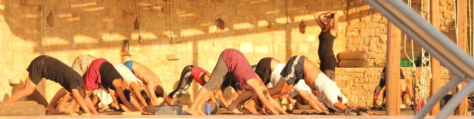 Addo mukha svanasana on outdoor yoga deck
